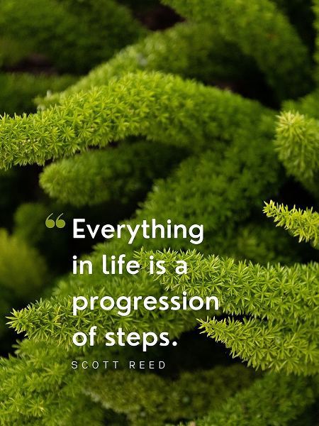 Scott Reed Quote: Progression of Steps
