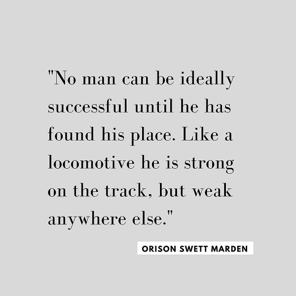 Orison Swett Marden Quote: Ideally Successful