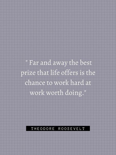 Theordore Roosevelt Quote: Work Hard