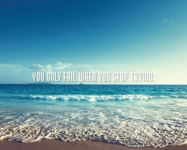 Artsy Quotes Quote: You Only Fail