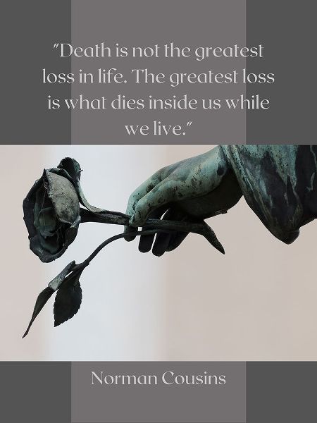 Norman Cousins Quote: Loss of Life