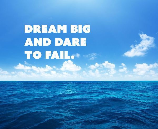 Norman Vaughan Quote: Dream Big