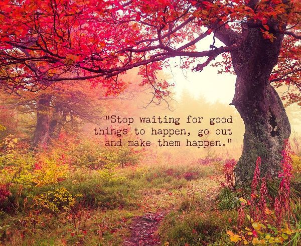 Artsy Quotes Quote: Stop Waiting