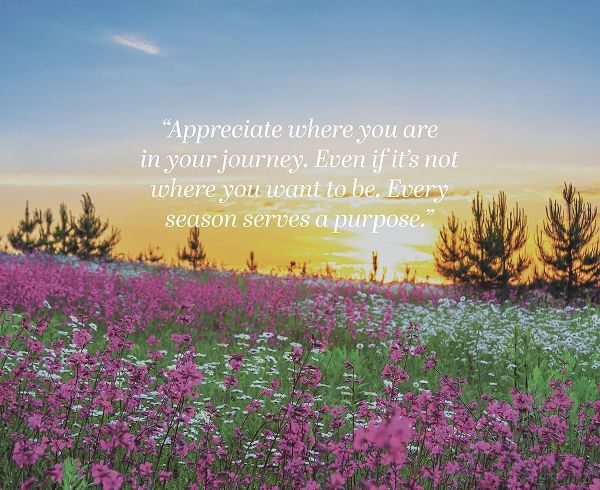 Artsy Quotes Quote: Your Journey