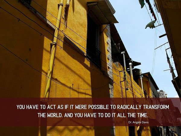 Dr. Angela Davis Quote: Radically Transform the World