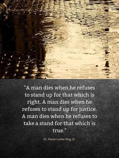 Dr. Martin Luther King Jr. Quote: Stand Up
