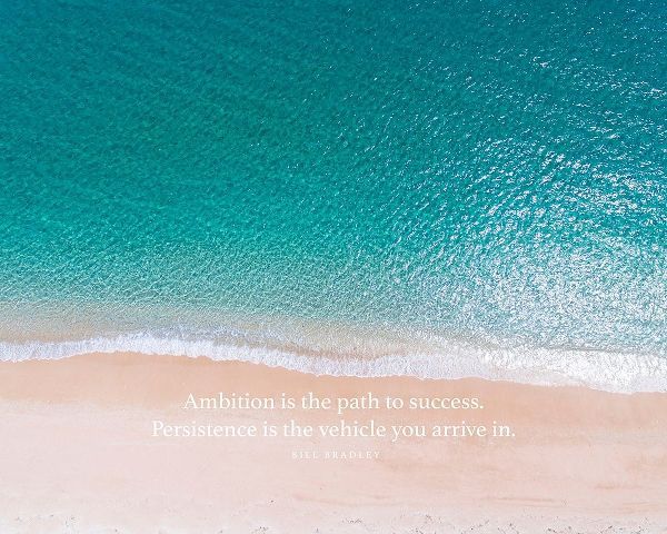 Bill Bradley Quote: Ambition