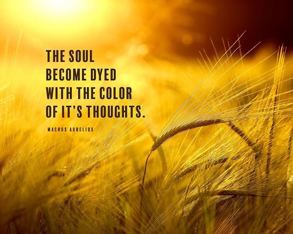 Macrus Aurelius Quote: The Soul