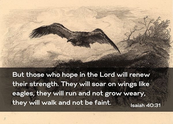 Bible Verse Quote Isaiah 40:31, Karl Bodmer - Eagle Flying