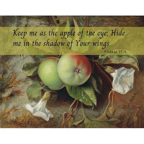 Bible Verse Quote Psalm 17:8, Edward John Poynter - Autumn Apples and Convolvulus
