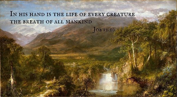 Bible Verse Quote Job 12:10, Frederic Edwin Church - Church Heart of the Andes