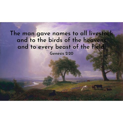 Bible Verse Quote Genesis 2:20, Albert Bierstadt - California Spring