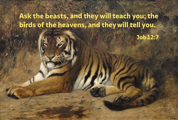 Bible Verse Quote Job 12:7, Jean-Leon Gerome - Tiger II
