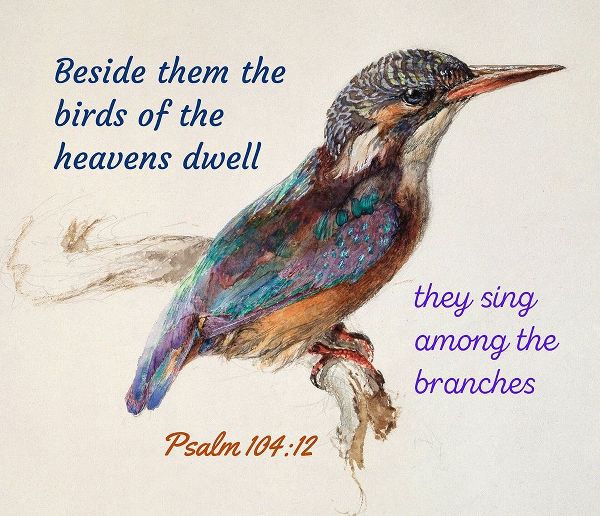 Bible Verse Quote Psalm 104:12, John Ruskin - Bird