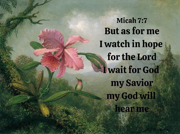 Bible Verse Quote Micah 7:7, Martin Johnson Heade - Orchid and Hummingbird