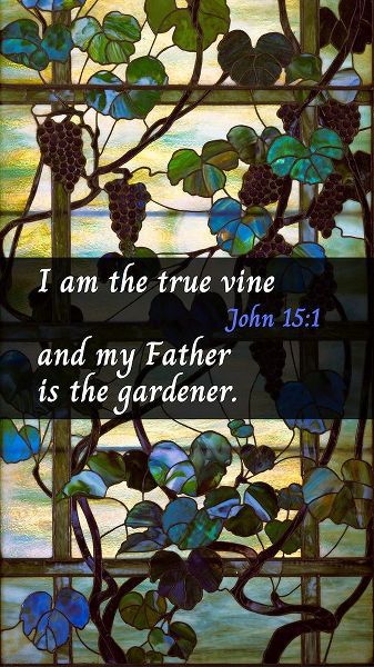 Bible Verse Quote John 15:1, Louis Comfort Tiffany - Grapevine Panel