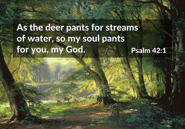 Bible Verse Quote Psalm 42:1, Carl Fredrik Aagard - Deer Park