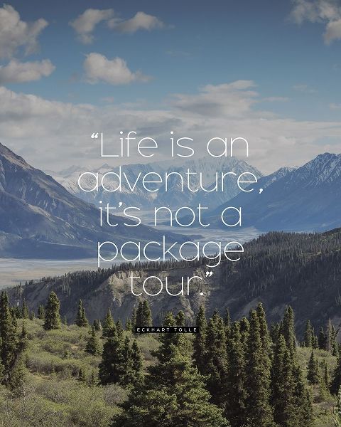 Eckhart Tolle Quote: Life is an Adventure