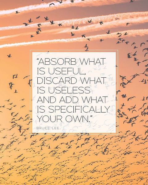 Bruce Lee Quote: Absorb What is Useful