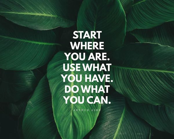 Arthur Ashe Quote: Do What You Can