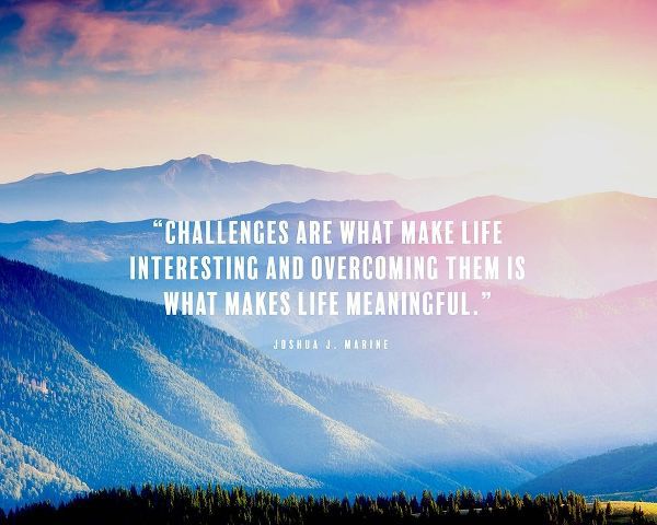 Joshua J. Marine Quote: Makes Life Meaningful