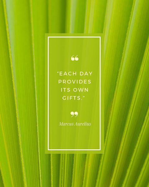 Marcus Aurelius Quote: Each Day
