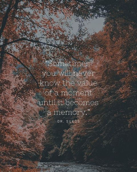 Dr. Suess Quote: Value of a Moment