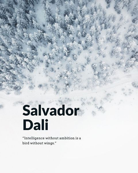 Salvador Dali Quote: Ambition