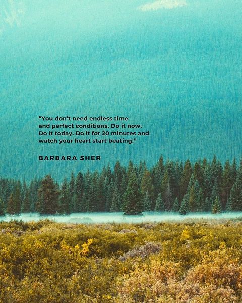 Barbara Sher Quote: Perfect Conditions