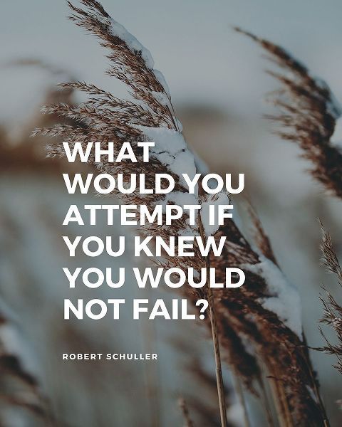 Robert Schuller Quote: What Would You
