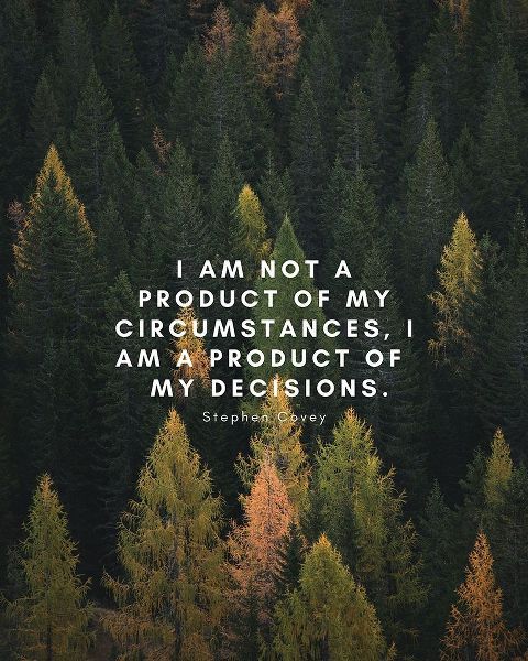 Stephen Covey Quote: My Decisions