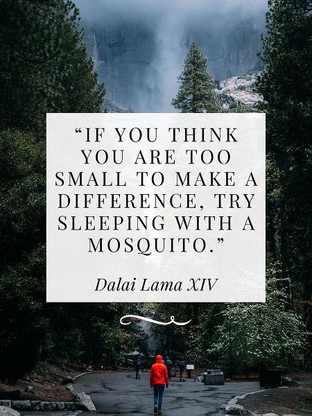 Dalai Lama Quote: Make a Difference