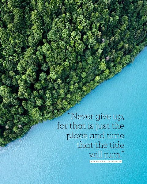 Harriet Beecher Stow Quote: Never Give Up