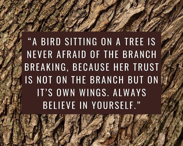 Artsy Quotes Quote: Branch Breaking