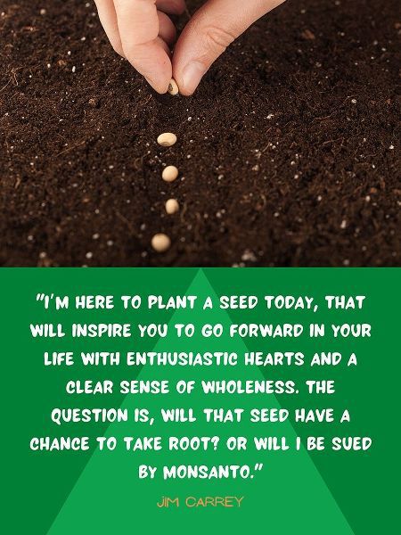 Jim Carrey Quote: Plant a Seed Today