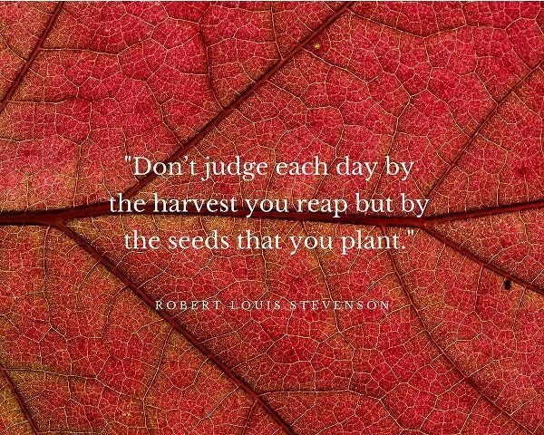 Robert Louis Stevenson Quote: Dont Judge Each Day