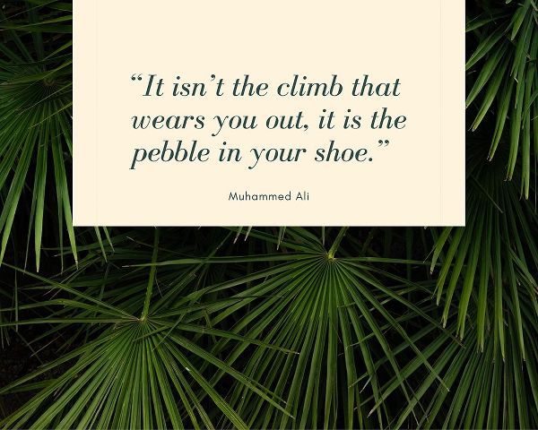 Muhammad Ali Quote: The Pebble in Your Shoe