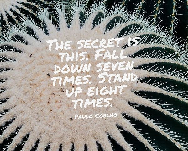 Paulo Coelho Quote: The Secret