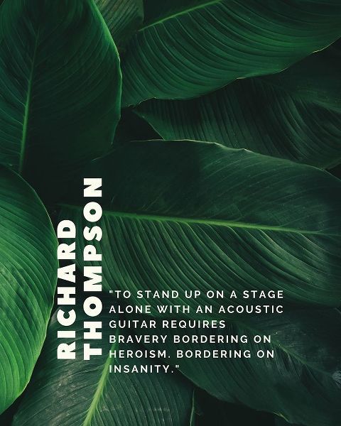 Richard Thompson Quote: Acoustic Guitar