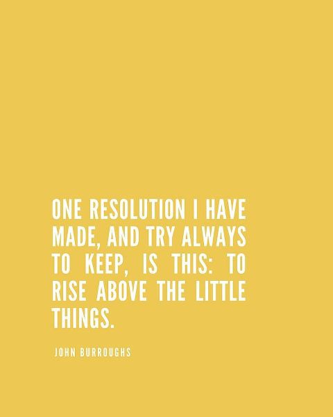 John Burroughs Quote: One Resolution