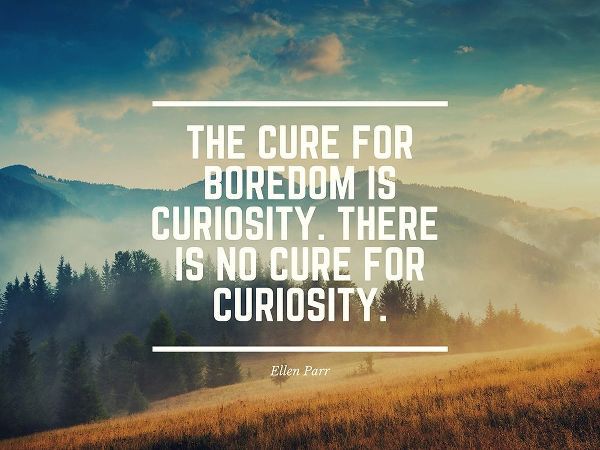 Ellen Parr Quote: Boredom is Curiosity