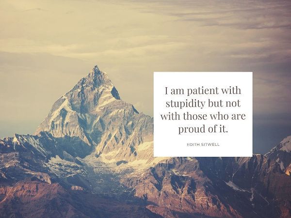 Edith Sitwell Quote: Patient with Stupidity