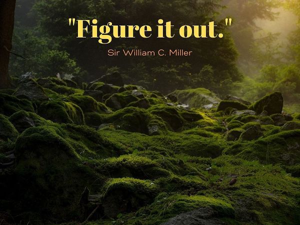 Sir William C. Miller Quote: Figure it Out