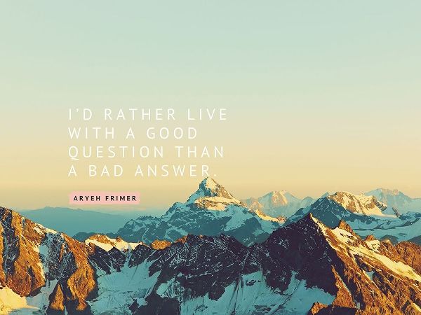 Aryeh Frimer Quote: A Good Question