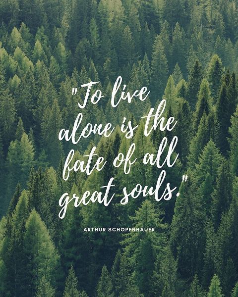 Arthur Schopenhauer Quote: All Great Souls
