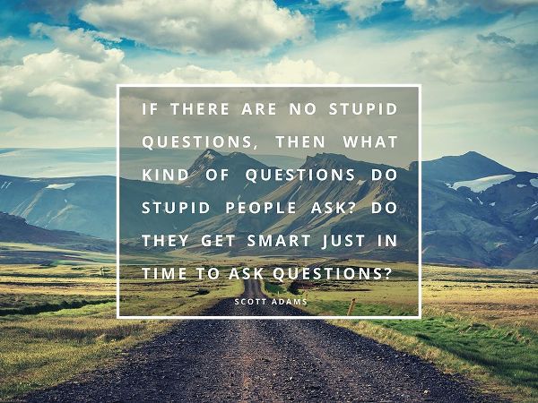 Scott Adams Quote: No Stupid Questions