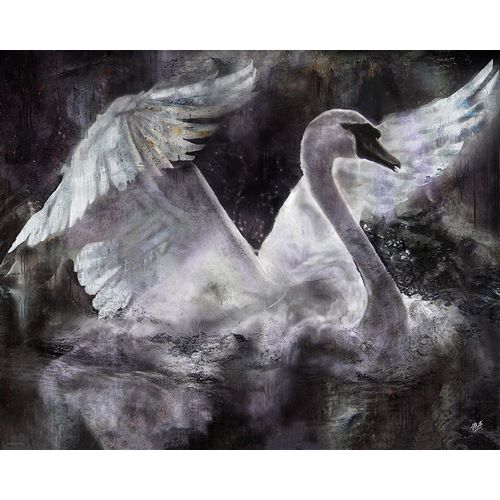 Swan I