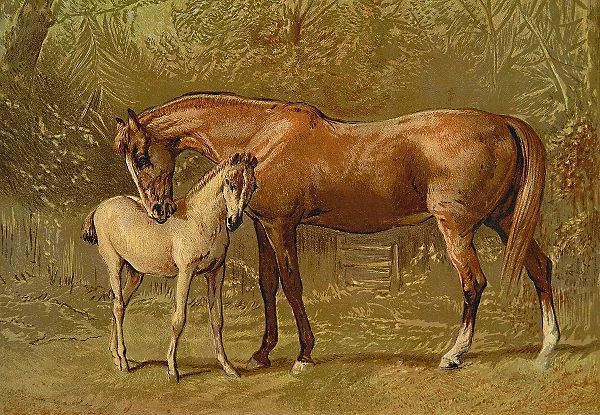 Thoroughbred Mare and Foal, 1900