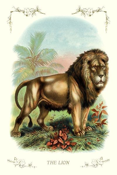 The Lion, 1900