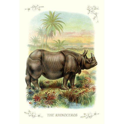 The Rhinoceros, 1900